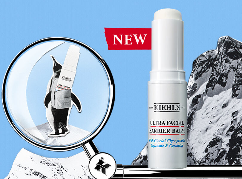 Kiehl's top dog conditioner